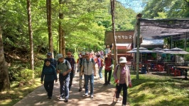 구곡폭포.문배마을.봉화산(26.6.23) - 장수 산악회. - 서수원신협산악회 구곡폭포.문배마을.봉화산(26.6.23)