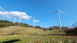 낙동정맥 07/20구간 19-09 아랫삼승령-독경산-맹동산-임도삼거리-하삼의 : 2025-11-02 - 낙동정맥 ([洛東正脈]) - 누리사랑의 산이야기... 