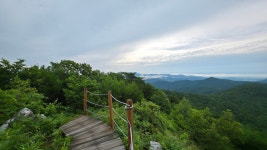 호남정맥 13-19 접치 송치 (호남정맥 졸업) : 2025-06-22 - 호남정맥(湖南正脈) 산행기 - 누리사랑의 산이야기 호남정맥 13-19 접치 송치... 