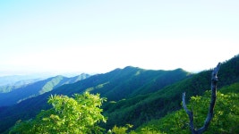 덕유산 육구종주 1-2 : 2024-05-15 - 산행기 및 산행사진 - 누리사랑의 산이야기 덕유산 육구종주 1-2 : 2024-05-15
