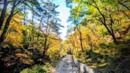 낙동정맥 07/20구간 19-09 아랫삼승령-독경산-맹동산-임도삼거리-하삼의 : 2025-11-02 - 낙동정맥 ([洛東正脈]) - 누리사랑의 산이야기... 