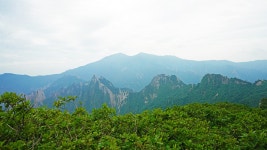 설악산 황철봉. 공룡능선. 소공원. 2025-08-09 - 산행기 및 산행사진 - 누리사랑의 산이야기 설악산 황철봉. 공룡능선. 소공원. 2025-08-09