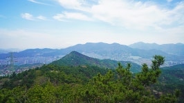 낙동정맥 19/20구간 남락고개. 개금고개 : 2025-04-05 - 낙동정맥 ([洛東正脈]) - 누리사랑의 산이야기 낙동정맥 19/20구간 남락고개.... 