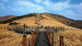 영남알프스 표충사. 천황산. 재약산. 영축산. 신불산. 간월산. 등억온천단지 2026-02-07 - 산행기 및 산행사진 - 누리사랑의 산이야기... 