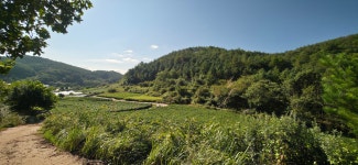 낙동정맥 05구간 19-05 깃재(신암마을). 덕재(오기2리) : 2025-09-27 - 낙동정맥 ([洛東正脈]) - 누리사랑의 산이야기 낙동정맥 05구간 19... 