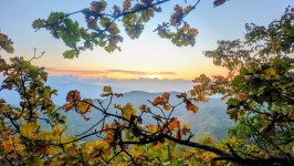 낙동정맥 07/20구간 19-09 아랫삼승령-독경산-맹동산-임도삼거리-하삼의 : 2025-11-02 - 낙동정맥 ([洛東正脈]) - 누리사랑의 산이야기... 