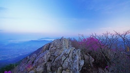 낙동정맥 19/20구간 남락고개. 개금고개 : 2025-04-05 - 낙동정맥 ([洛東正脈]) - 누리사랑의 산이야기 낙동정맥 19/20구간 남락고개.... 