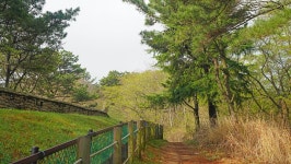 낙동정맥 19/20구간 남락고개. 개금고개 : 2025-04-05 - 낙동정맥 ([洛東正脈]) - 누리사랑의 산이야기 낙동정맥 19/20구간 남락고개.... 