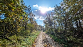 낙동정맥 07/20구간 19-09 아랫삼승령-독경산-맹동산-임도삼거리-하삼의 : 2025-11-02 - 낙동정맥 ([洛東正脈]) - 누리사랑의 산이야기... 