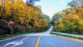 낙동정맥 07/20구간 19-09 아랫삼승령-독경산-맹동산-임도삼거리-하삼의 : 2025-11-02 - 낙동정맥 ([洛東正脈]) - 누리사랑의 산이야기... 