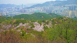 낙동정맥 19/20구간 남락고개. 개금고개 : 2025-04-05 - 낙동정맥 ([洛東正脈]) - 누리사랑의 산이야기 낙동정맥 19/20구간 남락고개.... 