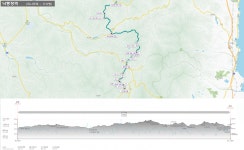 가사령 : 2025-11-16 - 낙동정맥 ([洛東正脈]) - 누리사랑의... 낙동정맥 10/20구간 19-10,18-09 피나무재. 간장현. 가사령 : 2025-11-16