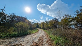 낙동정맥 07/20구간 19-09 아랫삼승령-독경산-맹동산-임도삼거리-하삼의 : 2025-11-02 - 낙동정맥 ([洛東正脈]) - 누리사랑의 산이야기... 