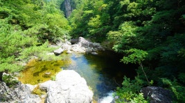 동대산. 진고개. 소금강) : 2025-08-15 - 산행기 및 산행사진... 누리사랑의 산이야기 오대산 종주 (비로봉. 동대산. 진고개. 소금강) : 2025-08-15