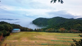 낙동정맥 13/20구간 19-13 시티고개. 아화고개 : 2025-10-25... 산이야기 낙동정맥 13/20구간 19-13 시티고개. 아화고개 : 2025-10-25