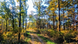 낙동정맥 07/20구간 19-09 아랫삼승령-독경산-맹동산-임도삼거리-하삼의 : 2025-11-02 - 낙동정맥 ([洛東正脈]) - 누리사랑의 산이야기... 