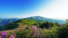 봉화산. 복성이재. 고남산. 여원재 : 2024-04-27 - 백두대간 산행기... 백두대간 74-23 중재. 봉화산. 복성이재. 고남산. 여원재 : 2024-04-27