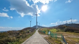 낙동정맥 07/20구간 19-09 아랫삼승령-독경산-맹동산-임도삼거리-하삼의 : 2025-11-02 - 낙동정맥 ([洛東正脈]) - 누리사랑의 산이야기... 