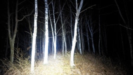 가사령 : 2025-11-16 - 낙동정맥 ([洛東正脈]) - 누리사랑의... 낙동정맥 10/20구간 19-10,18-09 피나무재. 간장현. 가사령 : 2025-11-16