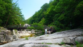 동대산. 진고개. 소금강) : 2025-08-15 - 산행기 및 산행사진... 누리사랑의 산이야기 오대산 종주 (비로봉. 동대산. 진고개. 소금강) : 2025-08-15