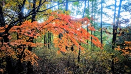 낙동정맥 07/20구간 19-09 아랫삼승령-독경산-맹동산-임도삼거리-하삼의 : 2025-11-02 - 낙동정맥 ([洛東正脈]) - 누리사랑의 산이야기... 