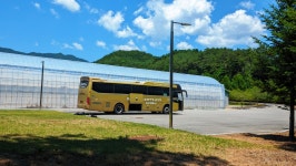 아미산 홍천 : 2026-06-28 - 산행기 및 산행사진 - 누리사랑의 산이야기 아미산 홍천 : 2026-06-28 