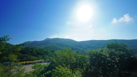 동대산. 진고개. 소금강) : 2025-08-15 - 산행기 및 산행사진... 누리사랑의 산이야기 오대산 종주 (비로봉. 동대산. 진고개. 소금강) : 2025-08-15