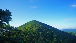 동대산. 진고개. 소금강) : 2025-08-15 - 산행기 및 산행사진... 누리사랑의 산이야기 오대산 종주 (비로봉. 동대산. 진고개. 소금강) : 2025-08-15