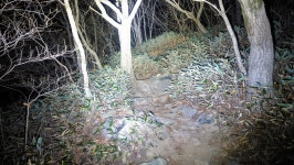 영남알프스 표충사. 천황산. 재약산. 영축산. 신불산. 간월산. 등억온천단지 2026-02-07 - 산행기 및 산행사진 - 누리사랑의 산이야기... 