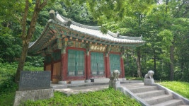 낙동정맥 01구간 삼수령. 매봉산. 통리재 : 2025-07-06 - 낙동정맥 ([洛東正脈]) - 누리사랑의 산이야기 낙동정맥 01구간 삼수령. 매봉산.... 