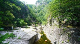 소금강) : 2025-08-15 - 산행기 및 산행사진 - 누리사랑의 산이야기 오대산 종주 (비로봉. 동대산. 진고개. 소금강) : 2025-08-15