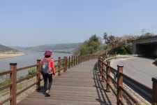 둘, - 2022년 4월20일 경기둘레길7코스 : 반구정~ 율곡습지공원... 향기 둘, - 2022년 4월20일 경기둘레길7코스 : 반구정~ 율곡습지공원