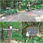 청주 부모산(231.7m),팔봉산(297.4m) - 산행후기 - 신암산악회 청주 부모산(231.7m),팔봉산(297.4m)