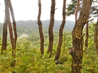 김천 태봉(265.0m)-궁을산(365.7m)-사건점산(396.0m)-천왕봉(465.2m)-사발봉(577.0m) - 산행후기 - 신암산악회 김천 태봉(265.0m)... 