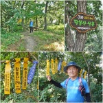 청주 부모산(231.7m),팔봉산(297.4m) - 산행후기 - 신암산악회 청주 부모산(231.7m),팔봉산(297.4m)