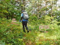 김천 태봉(265.0m)-궁을산(365.7m)-사건점산(396.0m)-천왕봉(465.2m)-사발봉(577.0m) - 산행후기 - 신암산악회 김천 태봉(265.0m)... 
