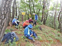 김천 태봉(265.0m)-궁을산(365.7m)-사건점산(396.0m)-천왕봉(465.2m)-사발봉(577.0m) - 산행후기 - 신암산악회 김천 태봉(265.0m)... 