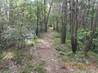 진주 영봉산(397.0m),가산(73.8m),장구등산(98.0m),송정산(59.0m) - 산행후기 - 신암산악회 진주 영봉산(397.0m),가산(73.8m),장구등산... 