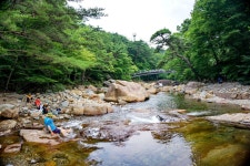 220710 대원사 계곡산행 - 정기여행&행사사진 - 가조M투어 (가조산악회) 220710 대원사 계곡산행