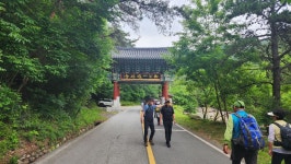 가조M투어 제164차 곡성 A조도림사&동악산 트레킹 B조도림사&레일바이크 &장미공원 트레킹 - 정기여행&행사사진 - 가조M투어 (가조산악회)... 