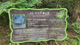 가조M투어 제164차 곡성 A조도림사&동악산 트레킹 B조도림사&레일바이크 &장미공원 트레킹 - 정기여행&행사사진 - 가조M투어 (가조산악회)... 