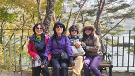 제168차가조M투어 담양추월산&용머리길 이모저모 - 정기여행... 가조M투어 (가조산악회) 제168차가조M투어 담양추월산&용머리길 이모저모