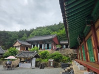 곡성에서 추억을 - 정기여행&행사사진 - 가조M투어 (가조산악회) 곡성에서 추억을