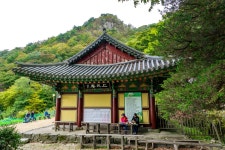 231008. 147차 공주 계룡산 정기산행 사진 - 정기여행&행사사진 - 가조M투어 (가조산악회) 231008. 147차 공주 계룡산 정기산행 사진