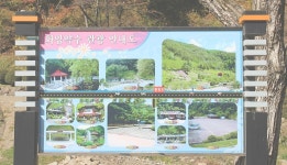 (웰빙농원)소금강 및 화암8경휴양지! 7,900평(계획관리. 전) 농막+유실수. 더덕. 두릅(급매) - 토지 * 임야 - 부동산교환이래 (웰빙농원)소금강 및... 