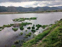 문평 고막원천 둠벙(2025.04.18-19) - *―·······2024출조일지 - 에듀피아를 위하여 문평 고막원천 둠벙(2025.04.18-19)