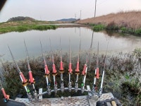 문평 고막원천 둠벙(2025.04.18-19) - *―·······2024출조일지 - 에듀피아를 위하여 문평 고막원천 둠벙(2025.04.18-19)