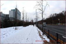 송년산행 물왕 호수 한바퀴 - 육일 사진방 - 양지편 사람 양지편 사람