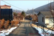 송년산행 물왕 호수 한바퀴 - 육일 사진방 - 양지편 사람 양지편 사람