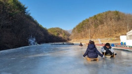 동구어린이집 졸업여행 - 민들레의 숲 활동 - 들살이 생태 놀이터 동구어린이집 졸업여행